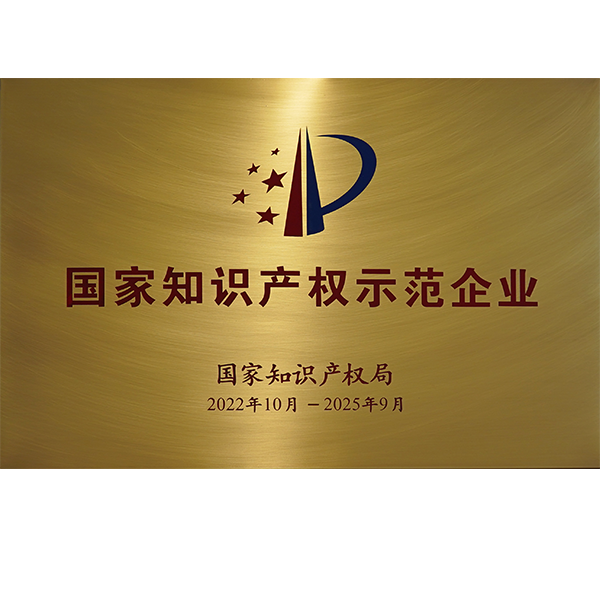 国家知识产权示范企业.png