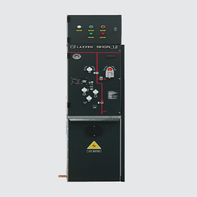 NHGN-12-2.png