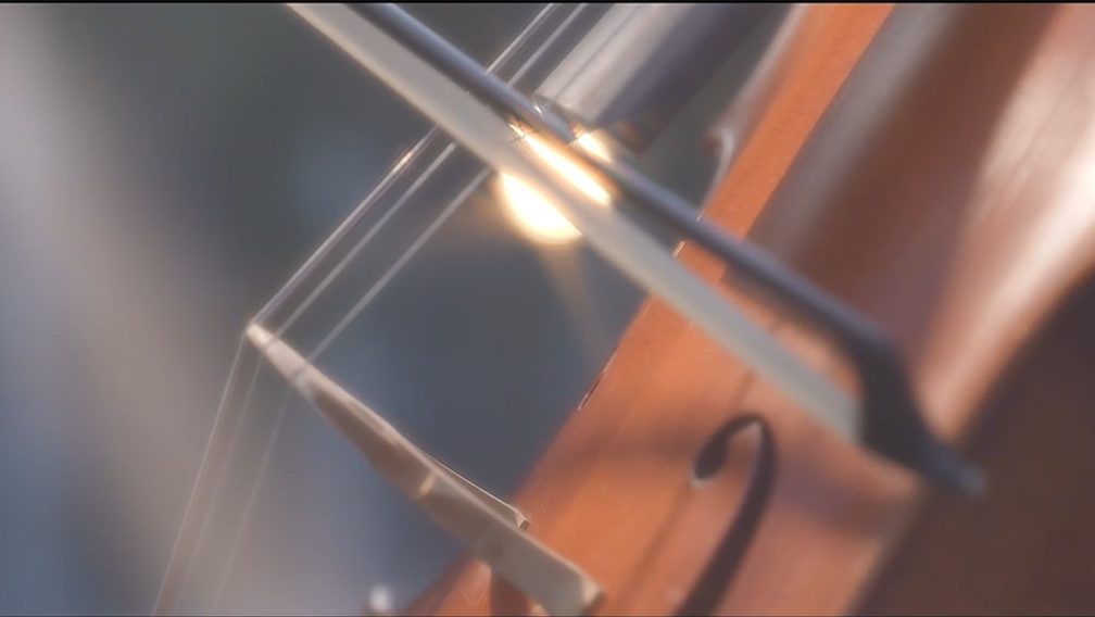 未标题-8.png